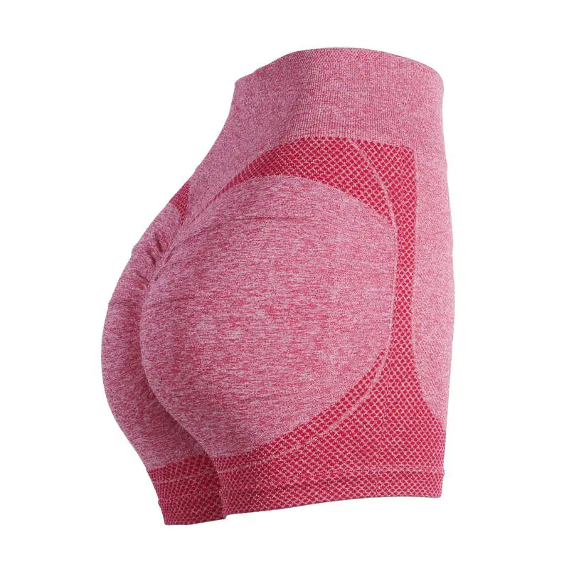 Women‘s Gym Shorts High Elasticity for Yoga